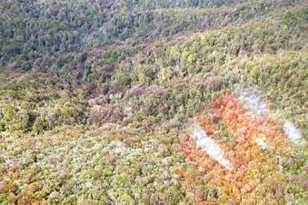 #1: View of the confluence area from about 60 meters