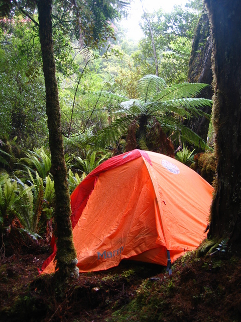 Camping at 46°59.342' S 168° 2.936' E