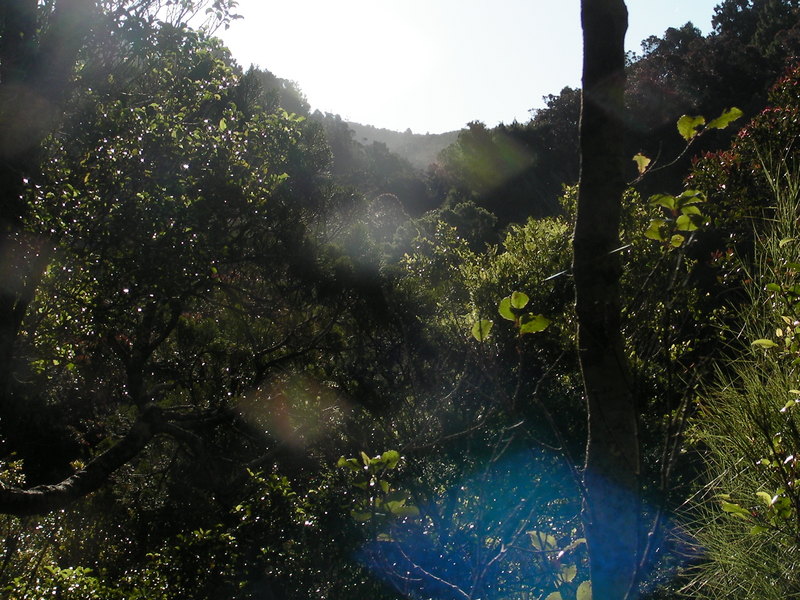 Photo of the general area of the confluence