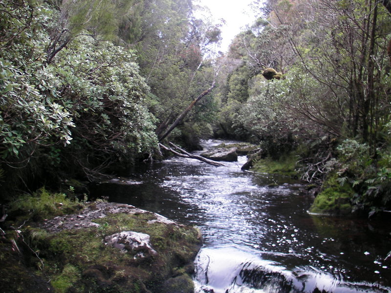 Whanga Tūtae-ka-wetoweto (Lord's River)