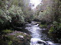 #6: Whanga Tūtae-ka-wetoweto (Lord's River)