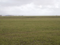 #5: View West from CP