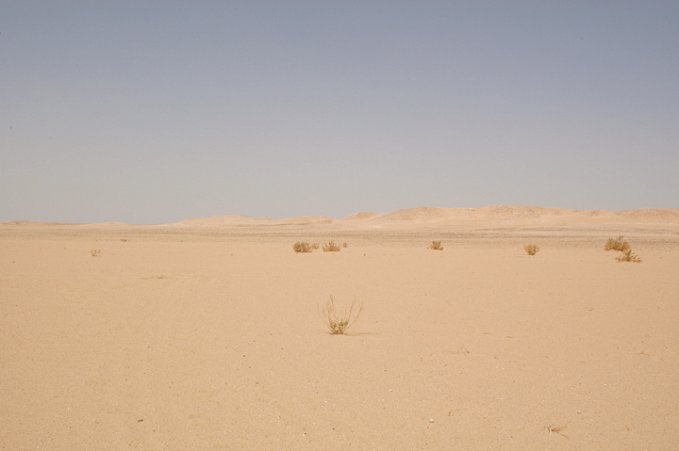 Looking East from the Confluence Point
