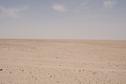 #2: Looking East from the Confluence Point