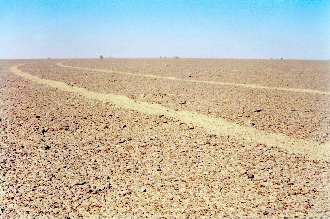 The view north at the Confluence - obviously not recently visited by other cars