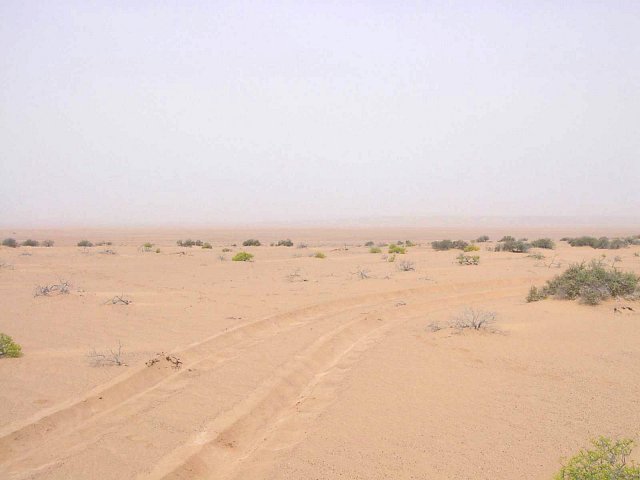 View west from Confluence