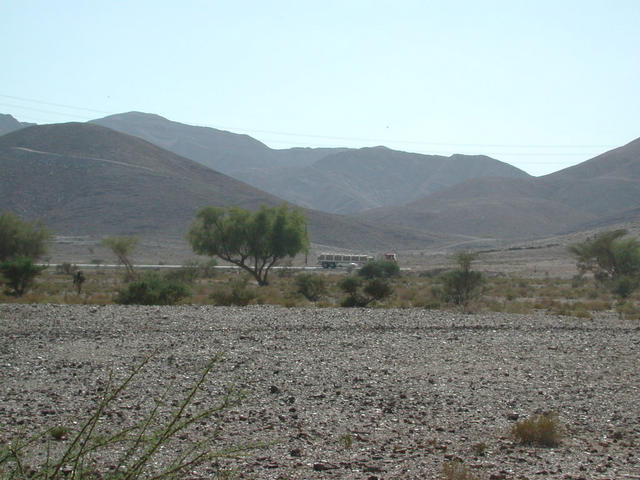 Looking south to the main road