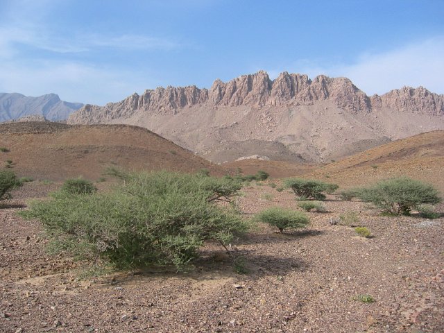 The Confluence - View to the North