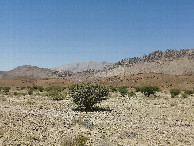 #2: North view