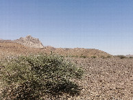 #3: East view
