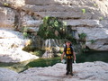 #8: Wādiy garden above Suwayh requiring a swim to pass