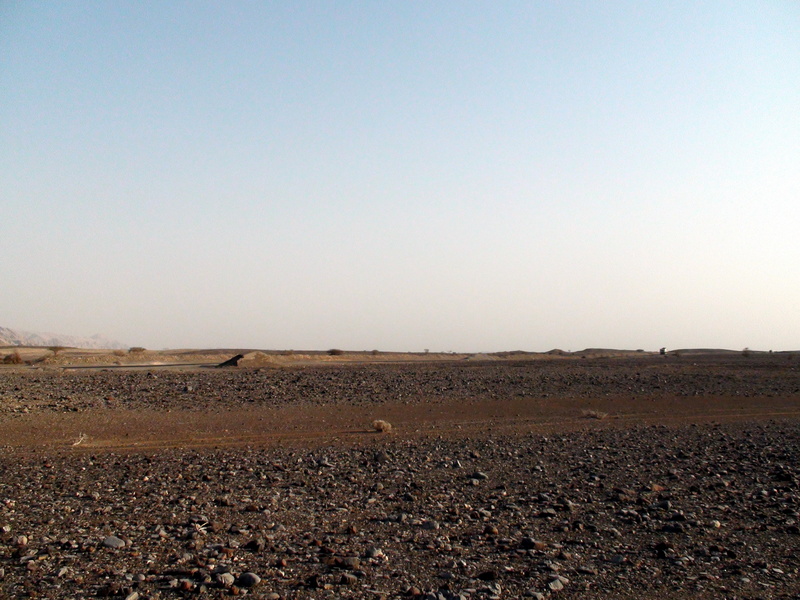 View towards South