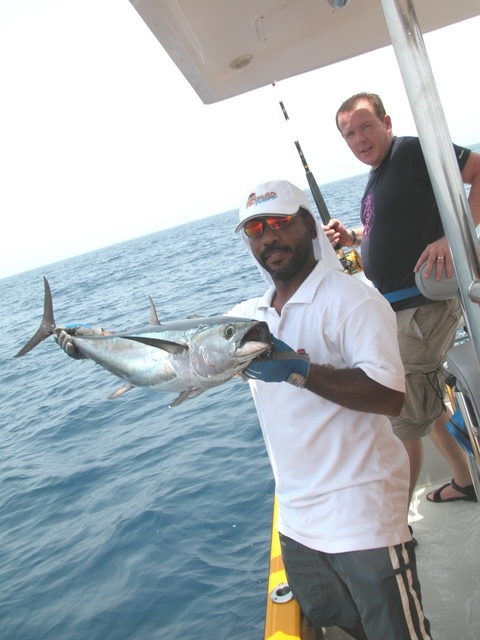 Black fin tuna