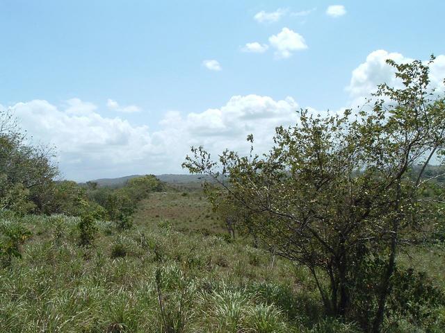 Looking South from the Confluence