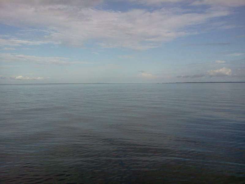 View from the confluence point (East)