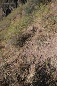 #1: the confluence point (in the foreground) on the slippery, dry, steep slope