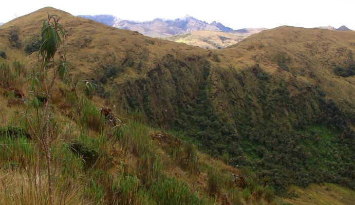East - View over rainforest and highlands to the Inca Ruins of Puncuyoc