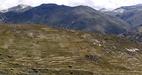 #3: Incan terracing and road