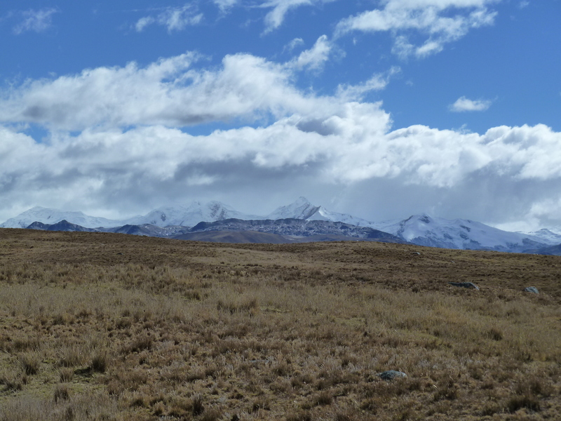 View from the confluence to the north