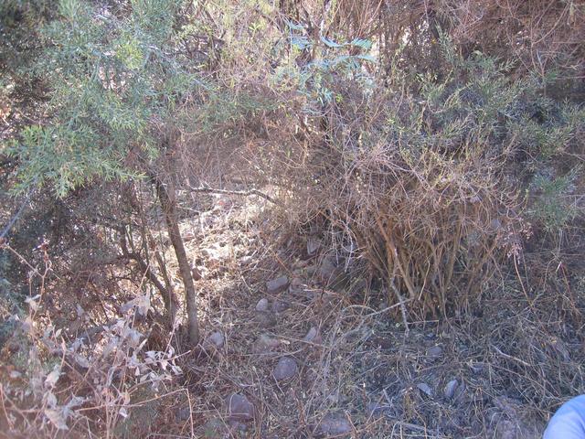 North Photo