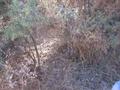#3: North Photo