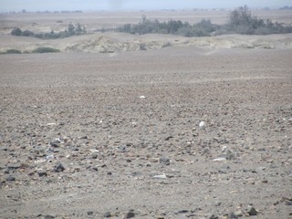 #1: General view