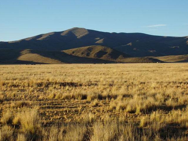 North