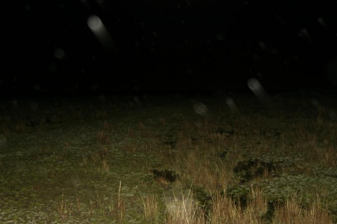 A shot of the confluence site.  It was dark and rainy.  Sorry about the poor photo.