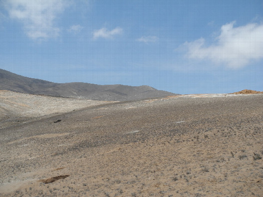 #1: General view