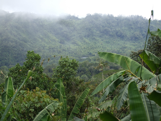 Distant view of Lake Rovusaka, nearby to the degree confluence