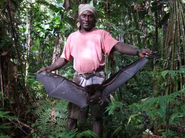 Charles Wesley Pirigoi, guide Togarao village displaying previous night's kill