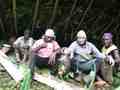 #4: Possum breakfast in bush shelter