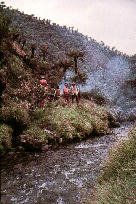 Our lunch and crossing point on the Javiwaitaiz River under the Cycad forest.