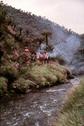 #10: Our lunch and crossing point on the Javiwaitaiz River under the Cycad forest.