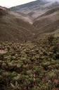 #9: The SW view as we decend into the amazing Javiwaitez River valley and it's Cycad forest.