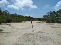 #11: Looking across the estuary about 300 m from the point