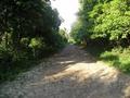 #10: Unpaved road/trail beyond Nangkal towards Confluence about 3 miles ahead.