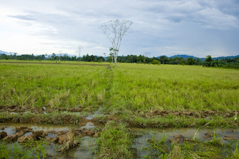 #1: Confluence is about 45' to the upper right (sw) of this padi intersection