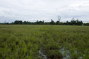 #2: Looking north from nearest padi intersection