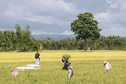 #8: Harvest Time in Leyte seen on the way to Burgos Town