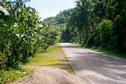 #4: Looking South