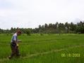 #7: Balancing act on rice field dike to the last 50 meters of our target.