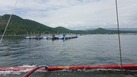 #6: Tilapia fish farming