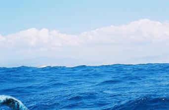 #1: View of coastline from the confluence.