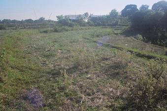 #1: General area shot looking SW with the Santos' house in the background.