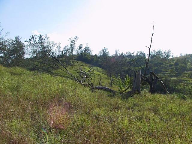 Photo taken facing due South of the confluence area