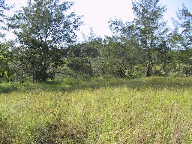 Photo taken facing due West of the confluence area