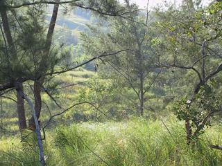 #1: View of confluence area, taken approximately 50 meters from confluence point