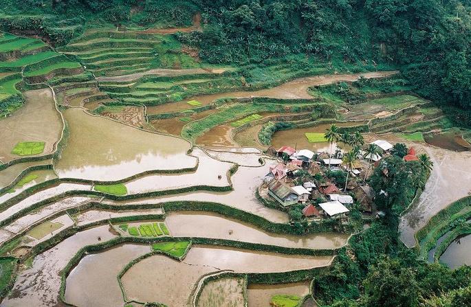 Nearby Ifugao rice terraces.