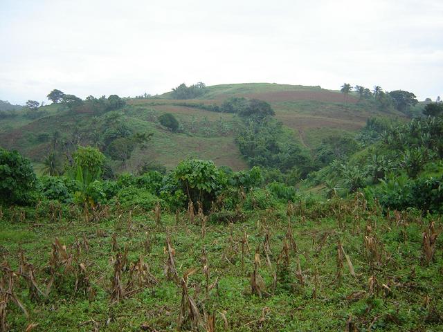 Wide view photo of the Confluence area